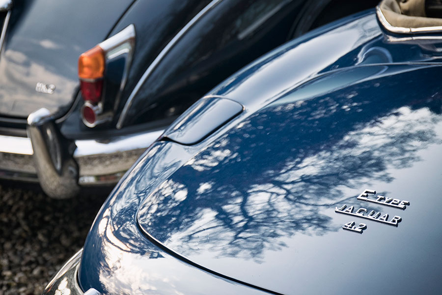 Detailfoto Jaguar E-type met het logo en de achterkant van de auto
